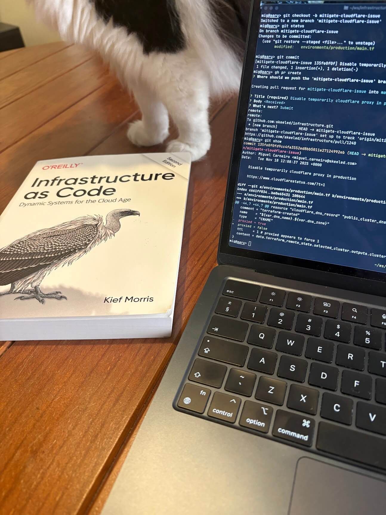 Git commit with change, infrastructure as code book and my amazing cat