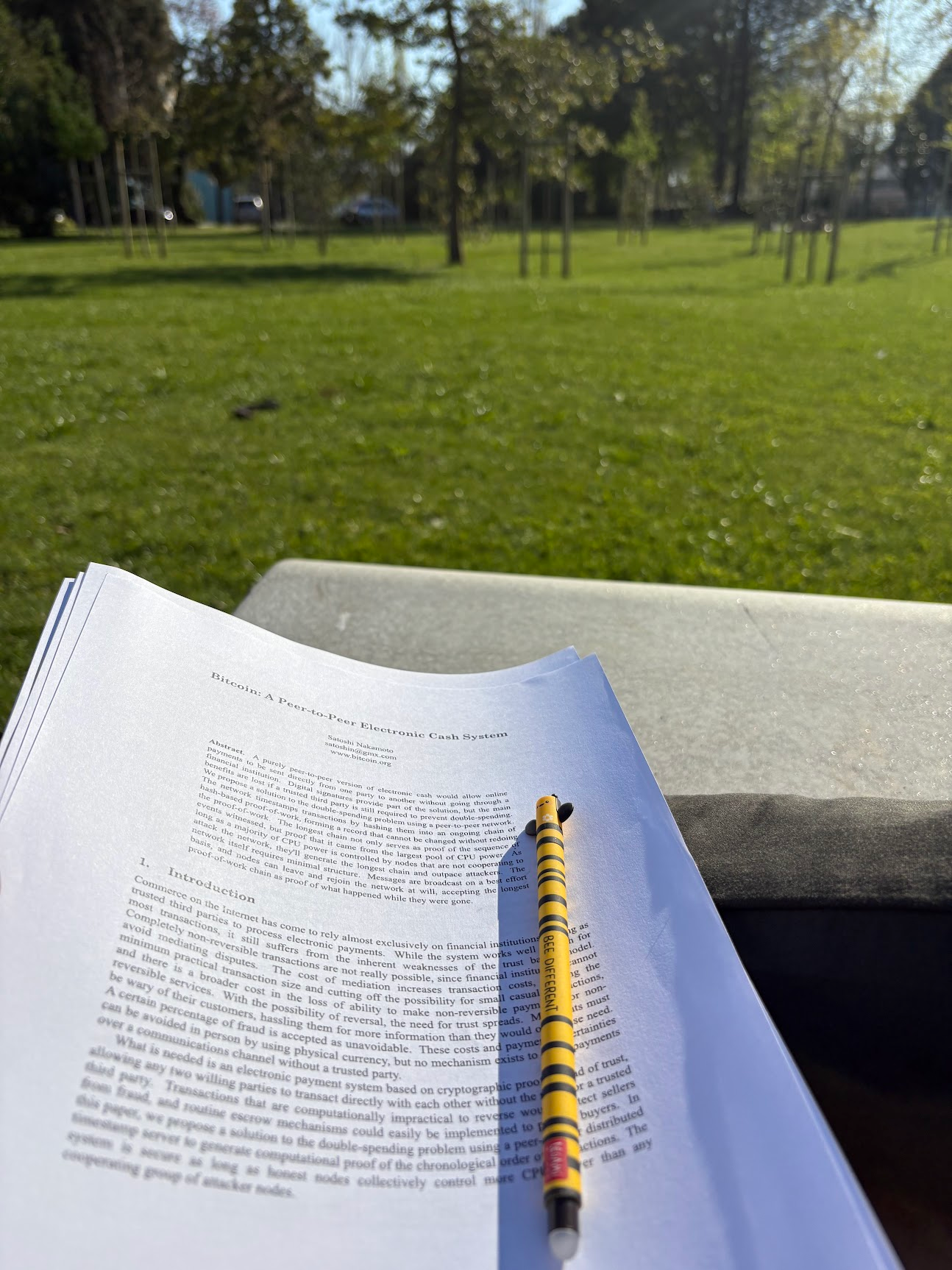 Bitcoin whitepaper printed, being read in a park